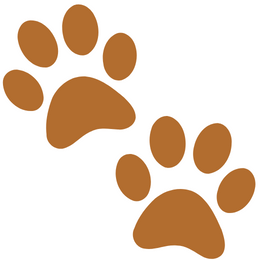 pet boarding at Eau Pet Hous